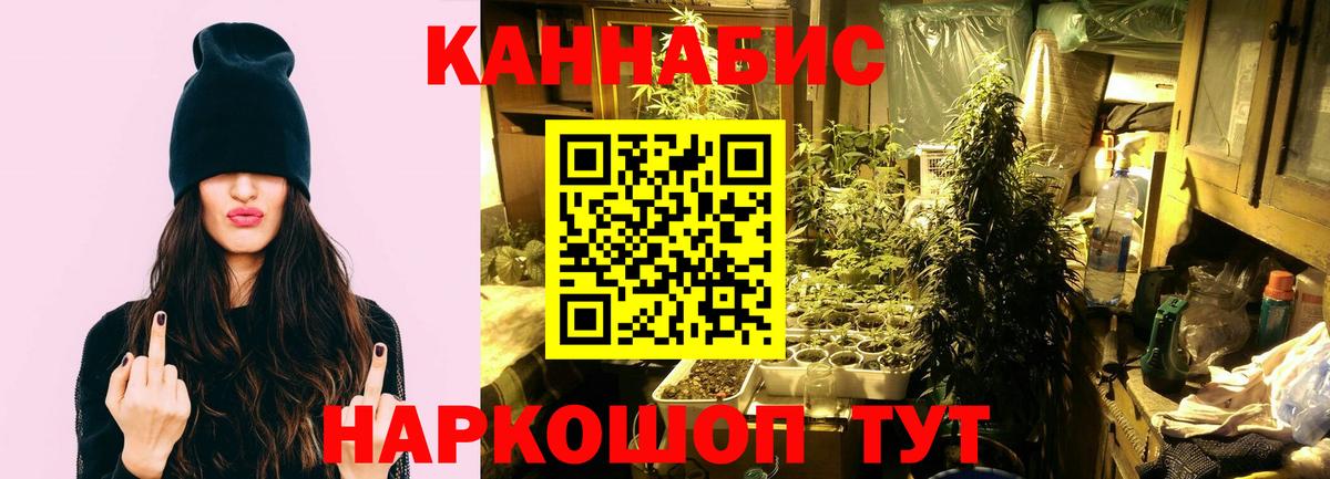Бошки Шишки AK-47 Рославль